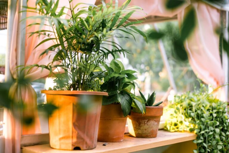 plants that absorb toxins
