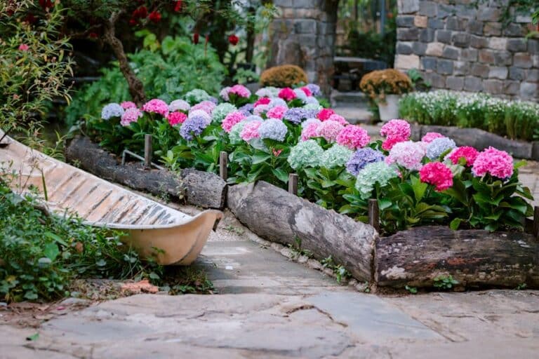 backyard planter ideas