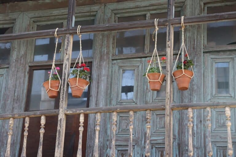 ceiling hanging plant baskets