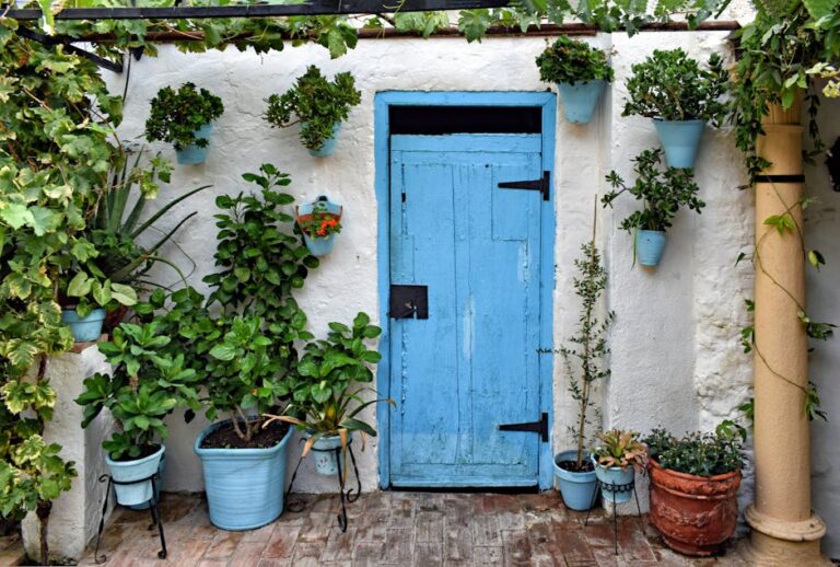 backyard garden planter ideas