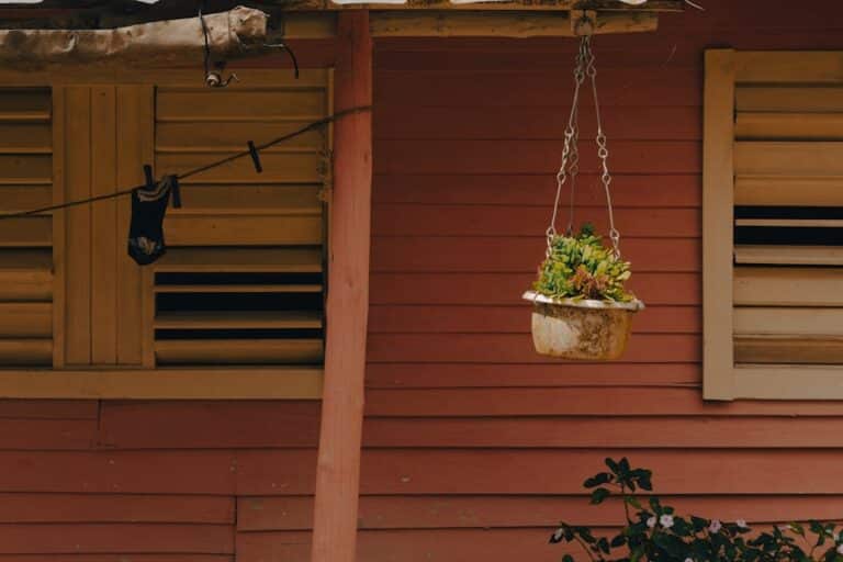 hanging peace lily planters