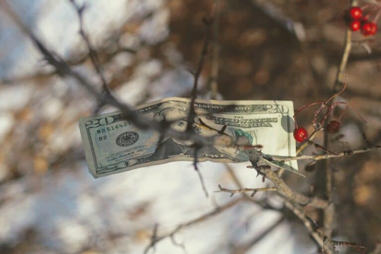 mood booster money tree